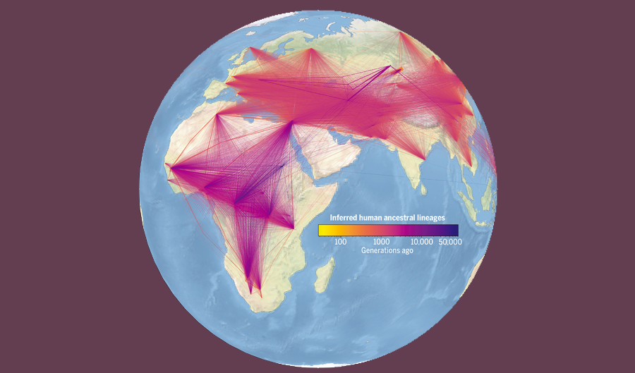 Largest DNA Family Tree